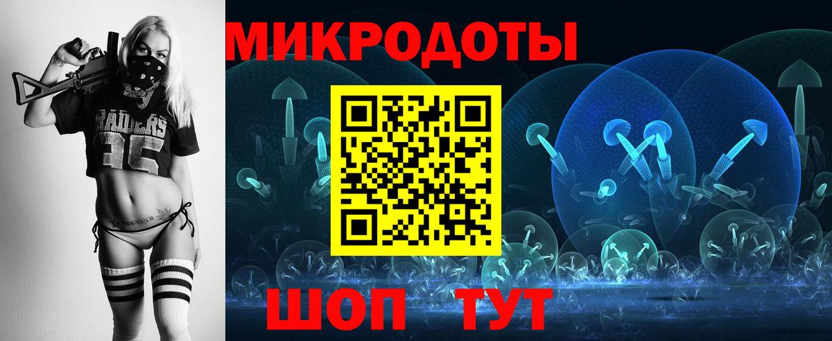 Вышний Волочёк  Галлюциногенные грибы Psilocybe  Вход с VPN 